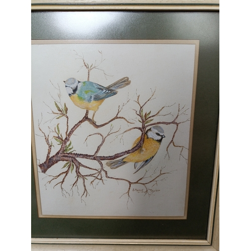 28 - 2 (two) 1982 original watercolour paintings of Blue Tits and Sparrows by Stuart Taylor. Approximatel... 