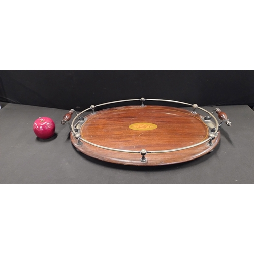 291 - Edwardian Mahogany and Fruitwood Inlay Serving Tray with metal railing around the edge and a conch s... 