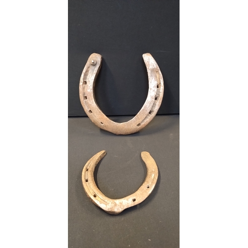 52 - Horse hoof, horse shoes, and a rams horn