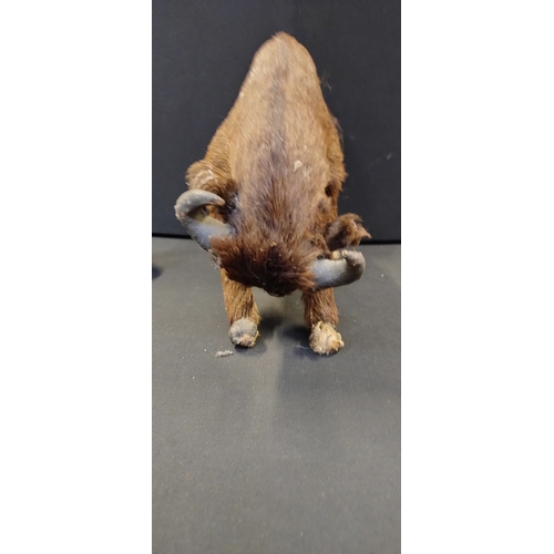 53 - Vintage Fur covered bull. Measures approx H 20.5 x W 32 x D 13 cm