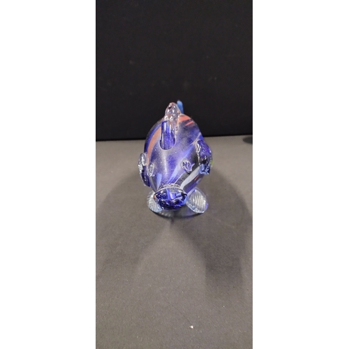 162 - Large studio glass multi coloured fish. Measures approx H 12.5 x W 41 x D 9 cm