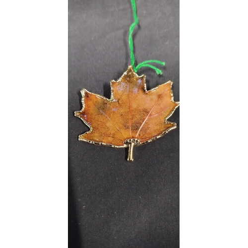 48 - Hand crafted Real Canadian Maple leaf brooch in original packaging