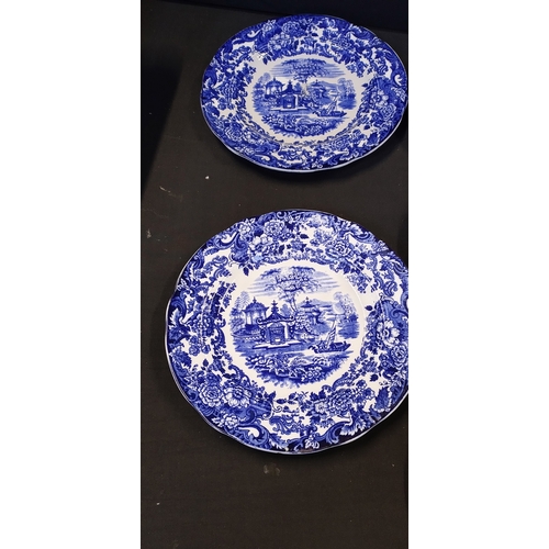 307 - Quantity of Blue and white plates, bowls and serving platters