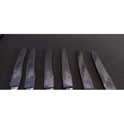 386 - Set of 6 vintage knives in original case