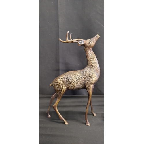 72 - Sculpture of deer,  doe and buck made of bronze. Measures approx H 32 x W 20.5 x D 10 cm