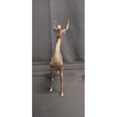 72 - Sculpture of deer,  doe and buck made of bronze. Measures approx H 32 x W 20.5 x D 10 cm