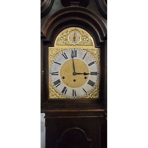 223 - Old Grandfather Clock made in Germany. No 86577 Measures approx H 193 x W 40 x D 21 cm. With pendulu... 