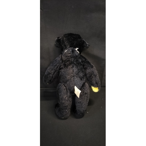 235 - Dean's Nightfall  black bear with golden pads and jointed limbs. From the 2000 range with stand and ... 