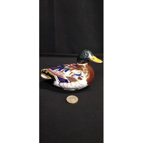 220 - Royal Crown Derby Imari mallard duck with gold button