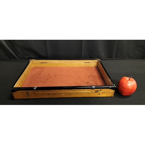 60 - Glass Lidded display case with velvet lining. Measures approx H 6.5 x W 45.5 x D 30.5 cm