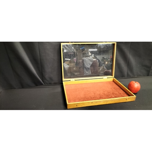 60 - Glass Lidded display case with velvet lining. Measures approx H 6.5 x W 45.5 x D 30.5 cm