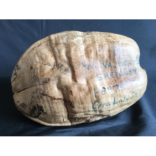 111 - VERY RARE WW2 JAPANESE SURRENDER SINGAPORE FORT DANNING SOLDIERS 
KEEPSAKE COCONUT WITH WW2 SOLDIERS... 