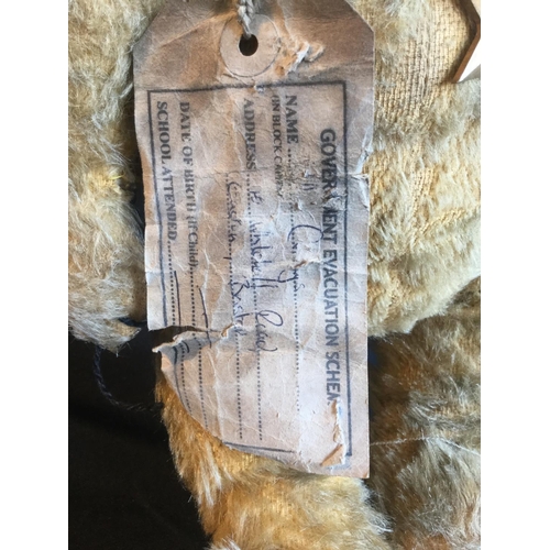 142 - RARE ORIGINAL WW2 42CM TALL CHILDS EVACUEE TEDDY BEAR WITH TAG AND MEDAL