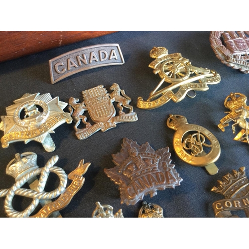 150 - VERY RARE ORIGINAL COLLECTION OF MAINLY WW1 CAP BADGES AND SHOULDER TITLES INCLUDING SOME VERY SCARC... 