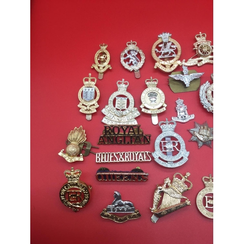 41 - Collection of 28 various military badges