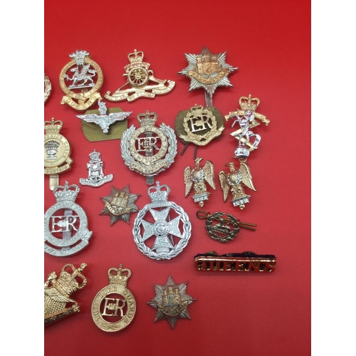 41 - Collection of 28 various military badges