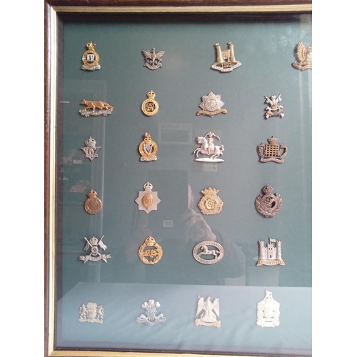 46 - Large framed Display of military cap / collar badges