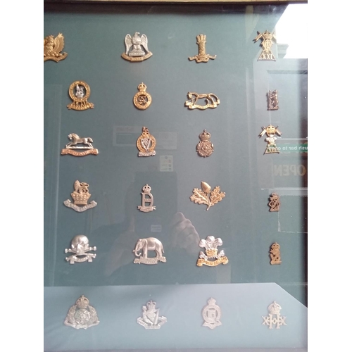 46 - Large framed Display of military cap / collar badges