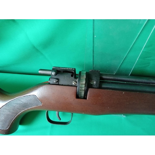 117 - Pellet gun with leather case