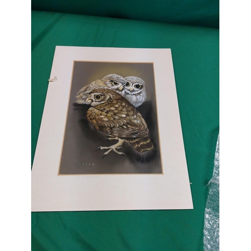 125 - John Crank water colour of The Owl & Owlets