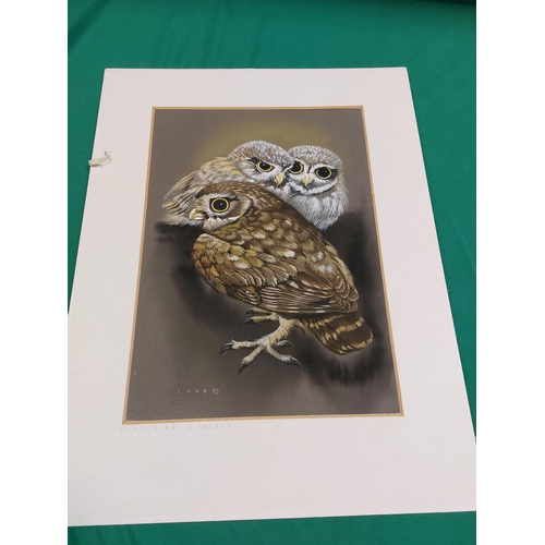 125 - John Crank water colour of The Owl & Owlets