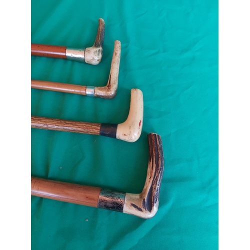 207 - 4 horn handled walking sticks