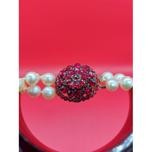 27 - Pearl necklace with beautiful Ruby clasp. 50 stones in total