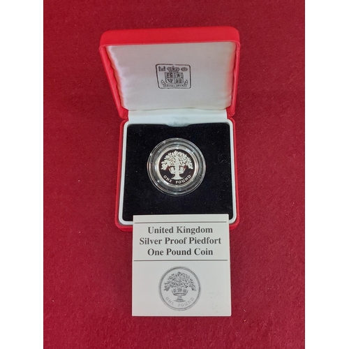 173 - Rare 1987 UK £1 silver proof piedfort coin double thickness 15,000 issued