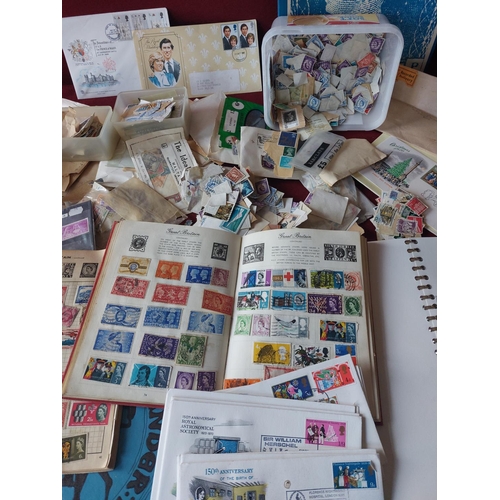 204 - Collection of assorted stamps and albums.