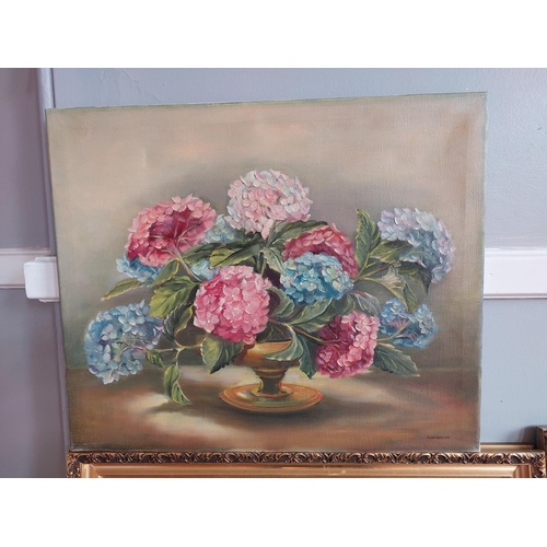 215 - Fine collection of 7 mid 20th century oil on canvas still life paintings by Violet Harrison