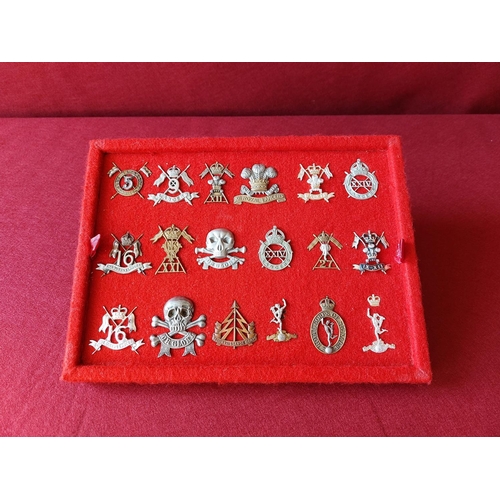 224 - A fine collection of 18 military cap badges.