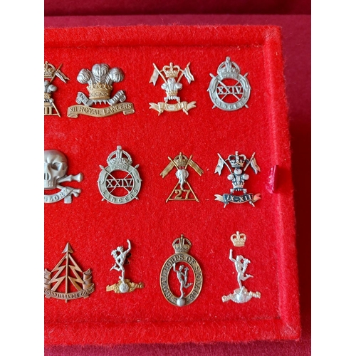 224 - A fine collection of 18 military cap badges.