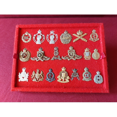 225 - A fine collection of 19 military cap badges.