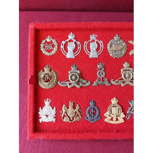 225 - A fine collection of 19 military cap badges.