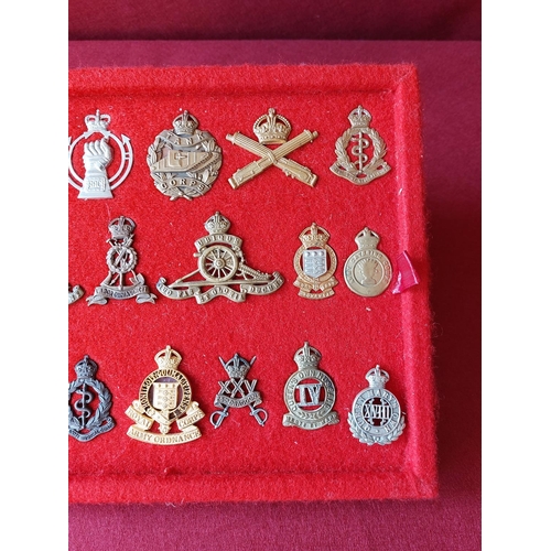 225 - A fine collection of 19 military cap badges.