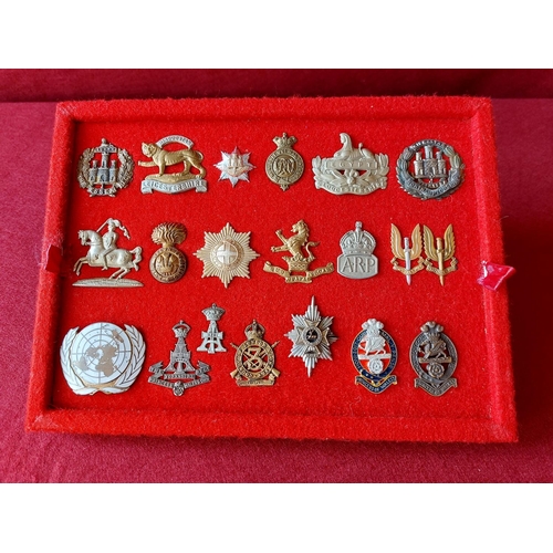 226 - A fine collection of 20 military cap badges.