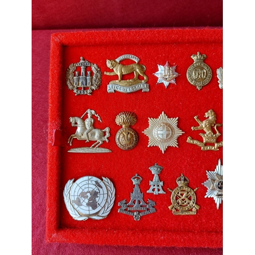 226 - A fine collection of 20 military cap badges.