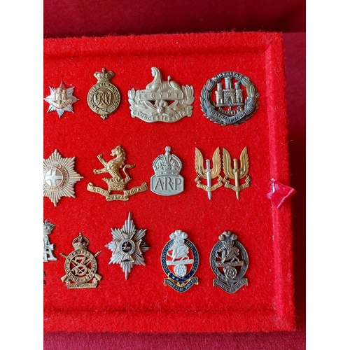 226 - A fine collection of 20 military cap badges.