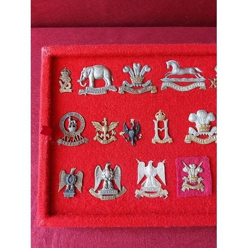 227 - A fine collection of 18 military cap badges.