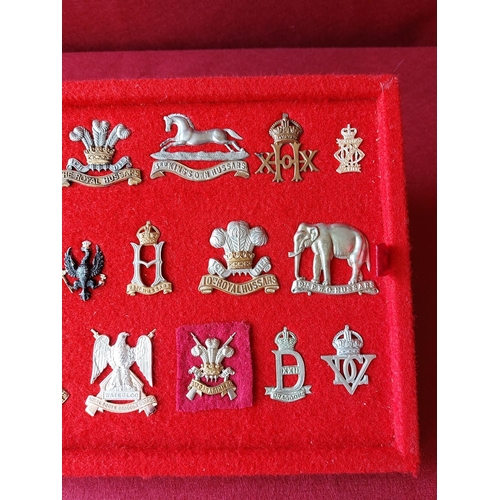 227 - A fine collection of 18 military cap badges.