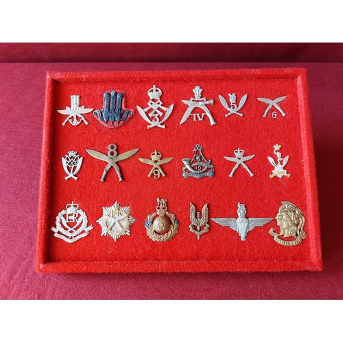 228 - A fine collection of 18 military cap badges.