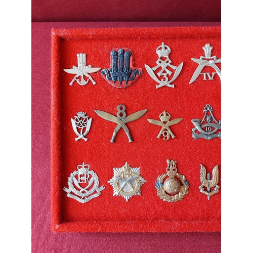 228 - A fine collection of 18 military cap badges.