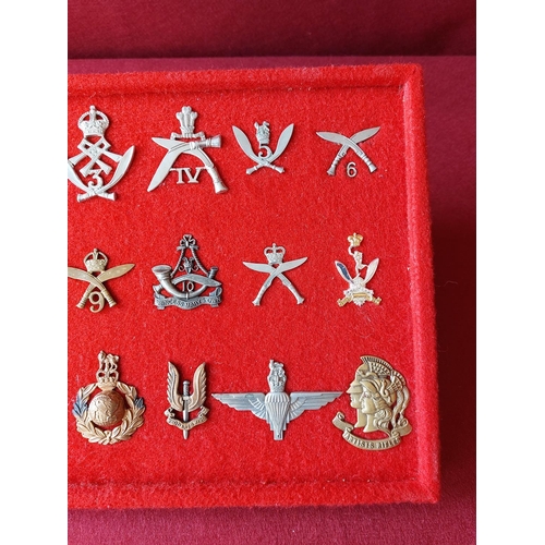 228 - A fine collection of 18 military cap badges.