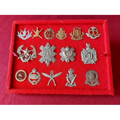 229 - A fine collection of 15 military cap badges.