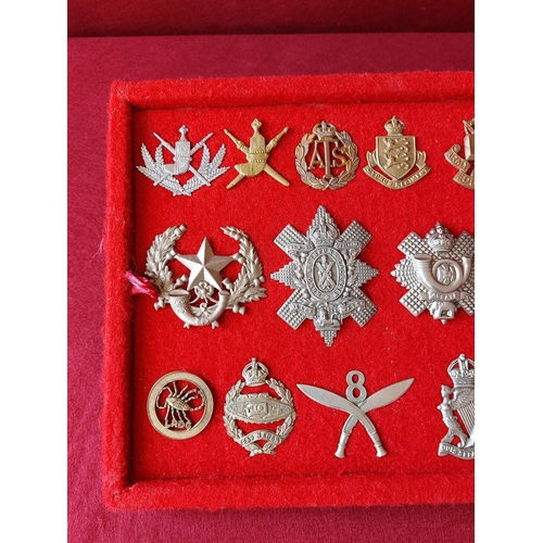 229 - A fine collection of 15 military cap badges.