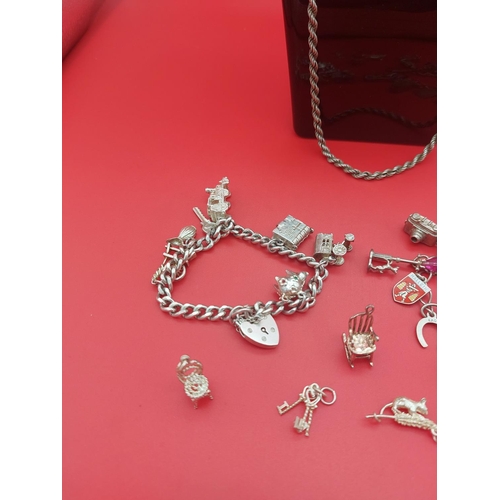 73 - 2 x hallmarked silver charm bracelets with extra charms and necklace