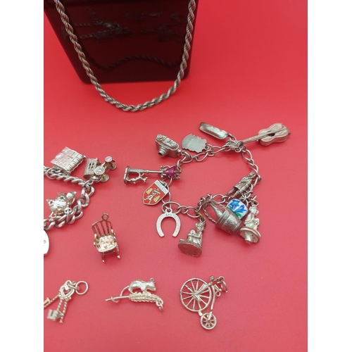 73 - 2 x hallmarked silver charm bracelets with extra charms and necklace