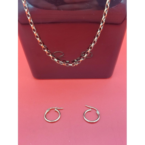 17 - 9ct gold necklace and earrings. Weight 4.3 grams