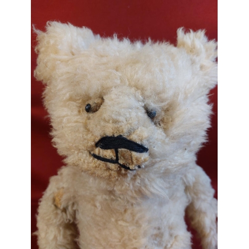 216 - Rare white boot button eye bear