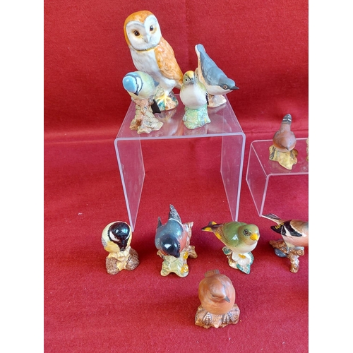 258 - Fine collection of 15 Beswick birds.